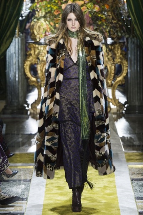 roberto-cavalli